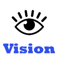 Vision VSG
